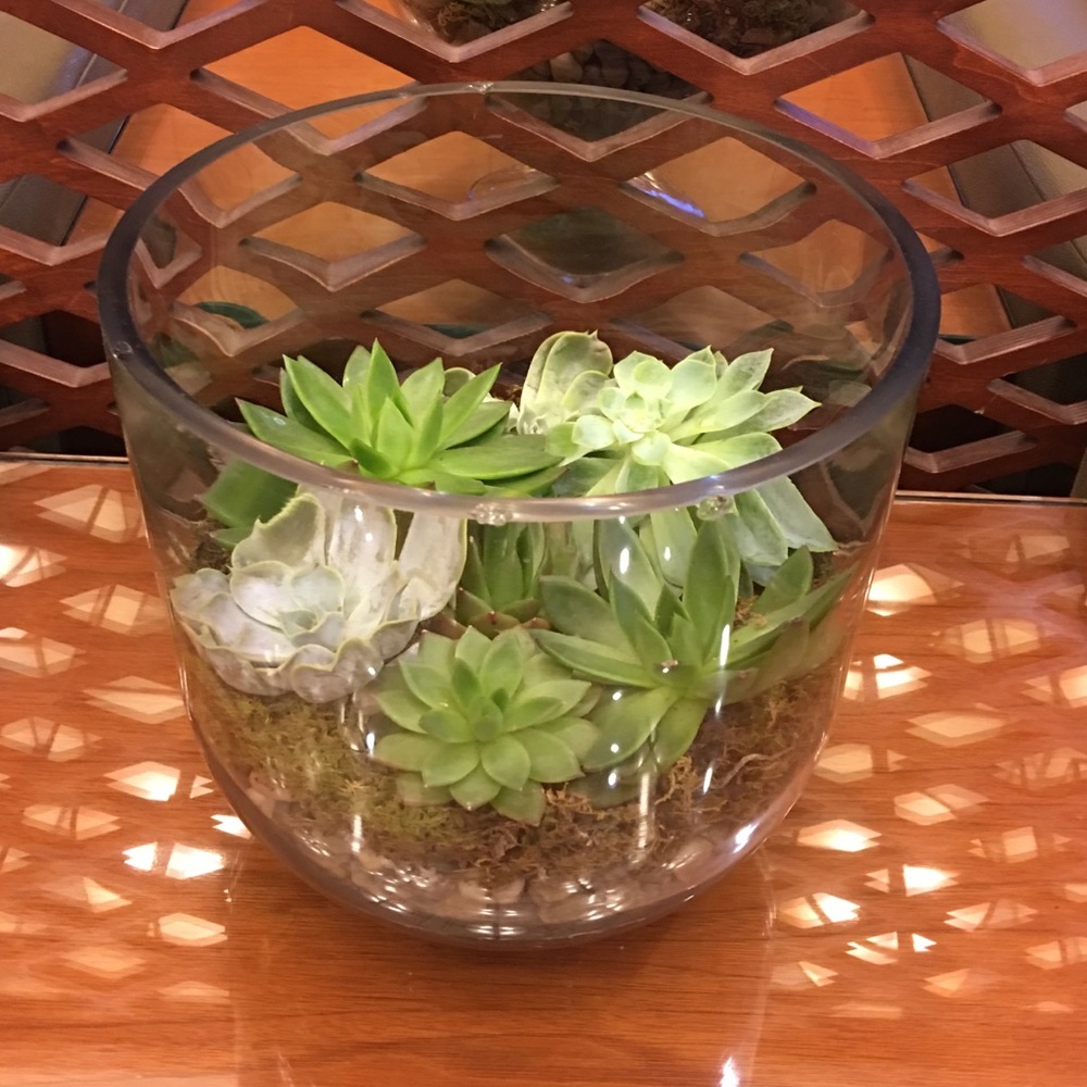 Meet your Posher, Bebe